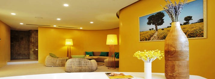 1036/Anya Hotel - Gurugram 13.jpg